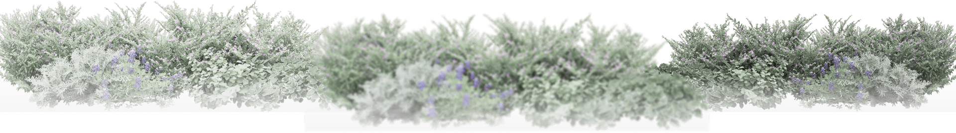 header-grass